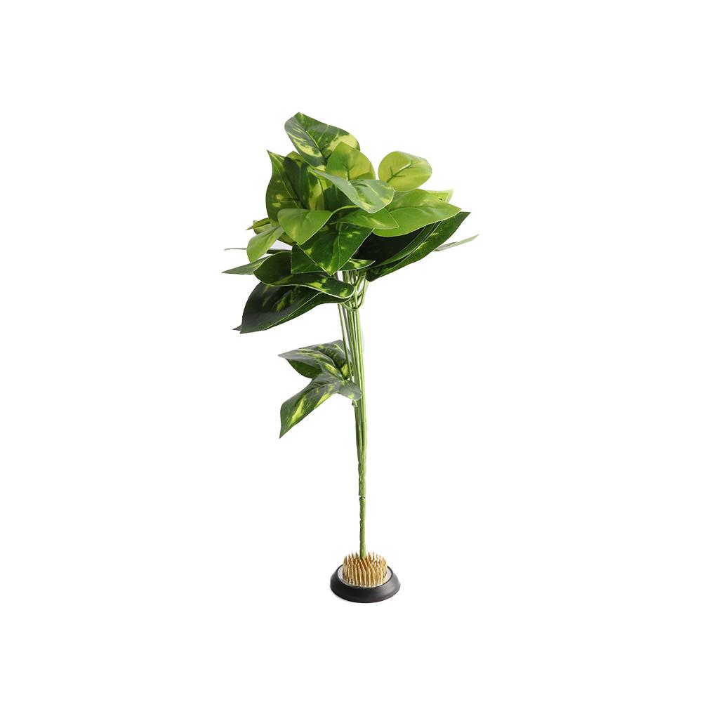 Rubber Kenzan Spiky Needle Flo - Flower Frog Pin ulasan dan harga